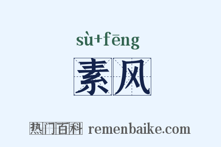 素风是什么意思的图片